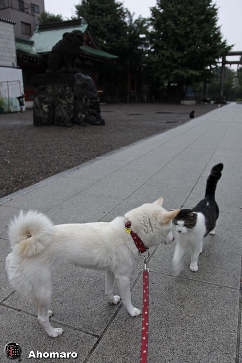 写真00