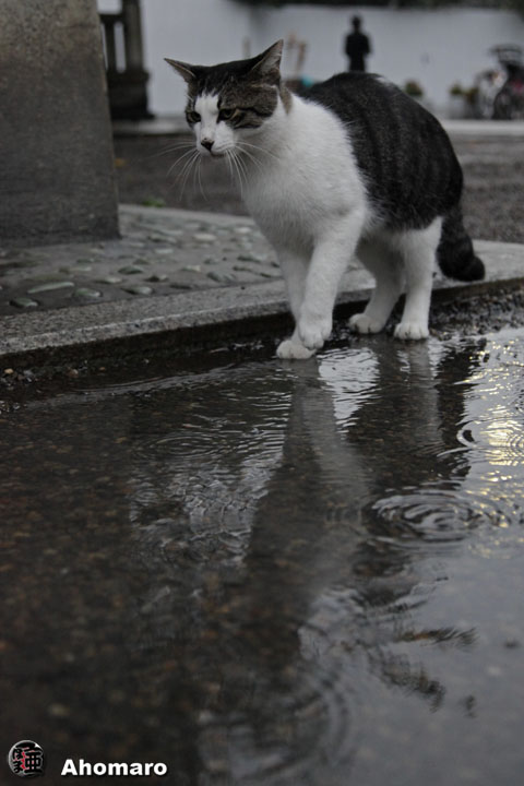 写真00