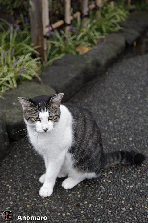 写真00