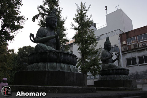 写真00