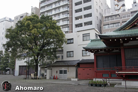 写真00