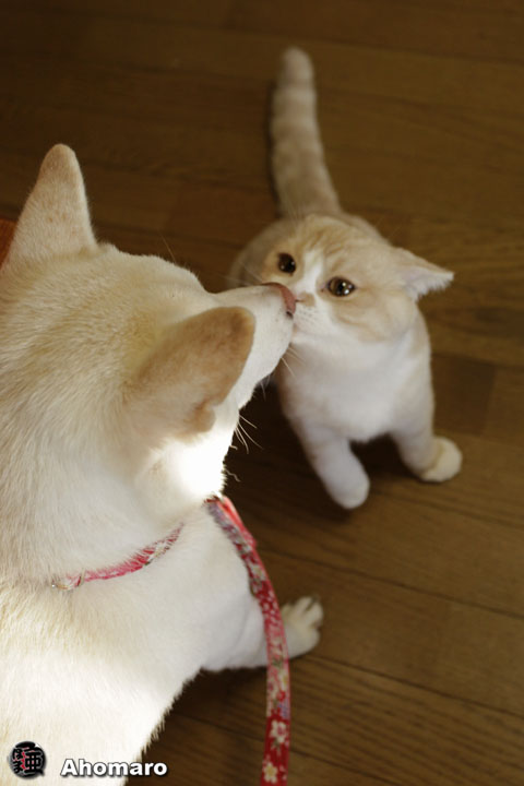 写真00