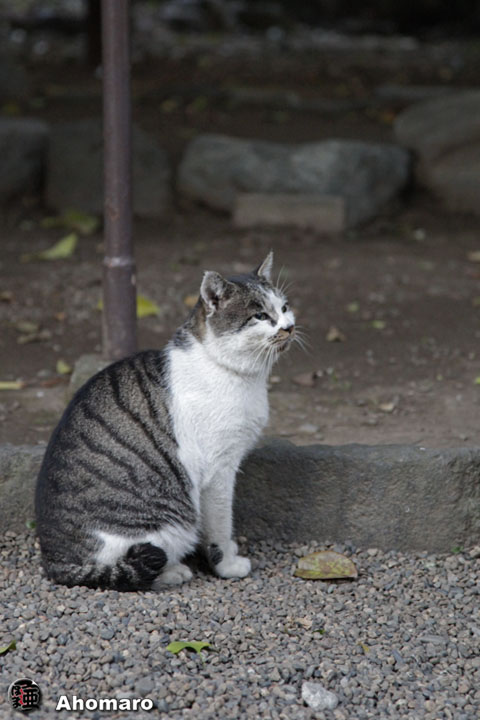 写真00