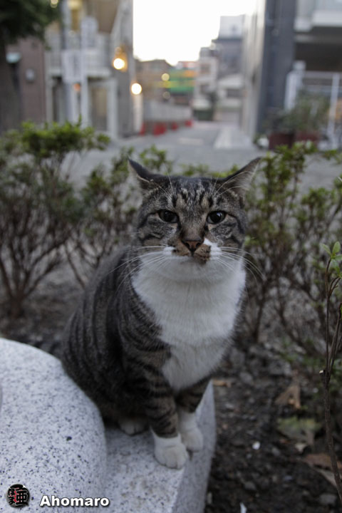 写真00