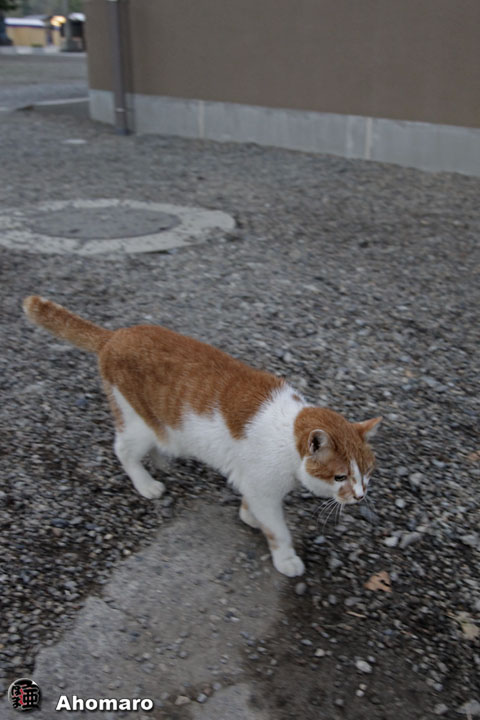 写真00