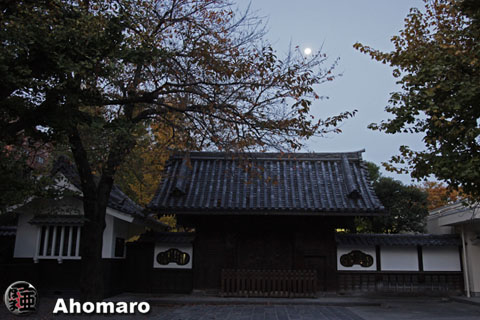写真00