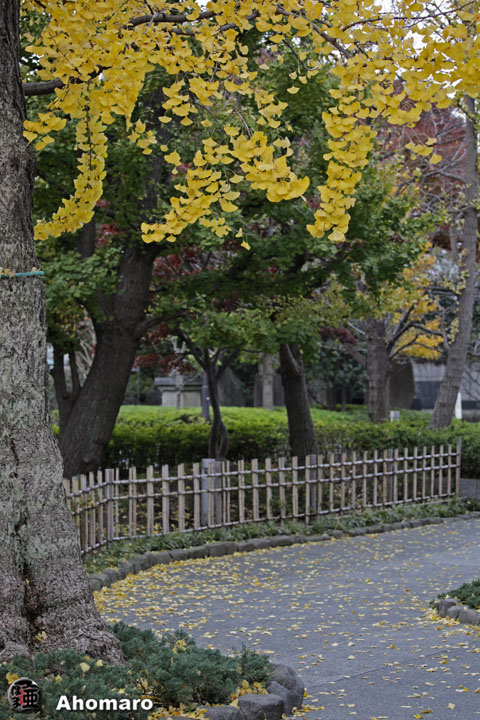 写真00