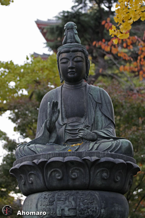 写真00