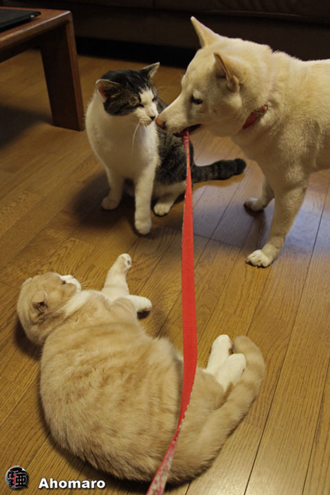 写真00