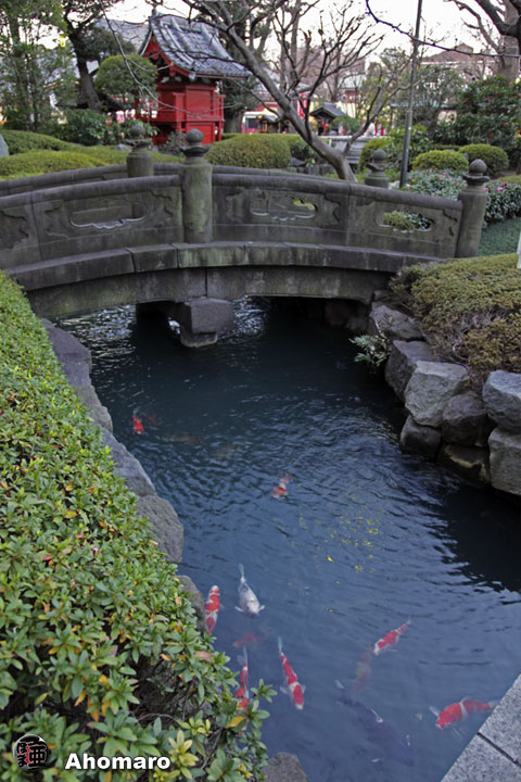 写真00