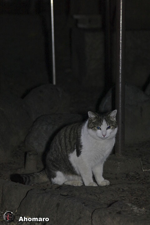 写真00