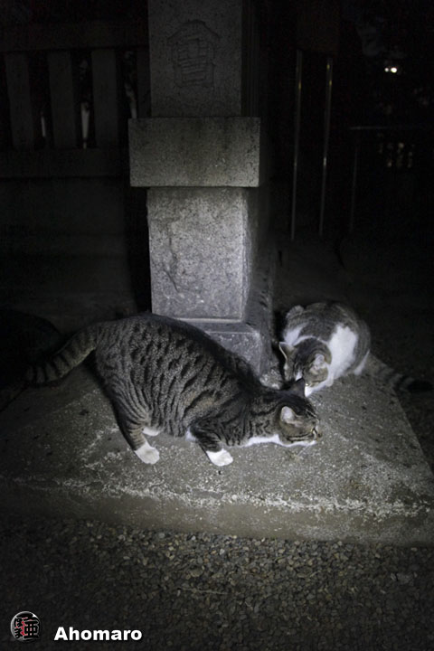 写真00