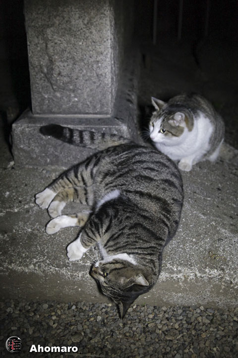 写真00