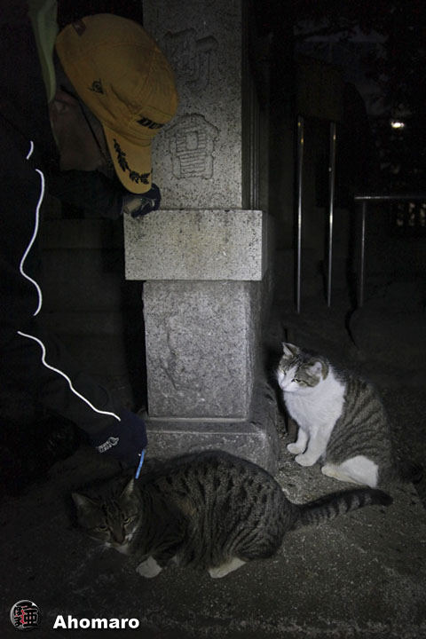 写真00