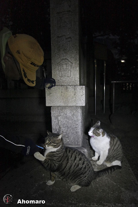 写真00