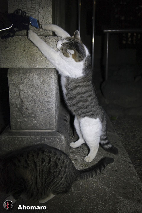 写真00