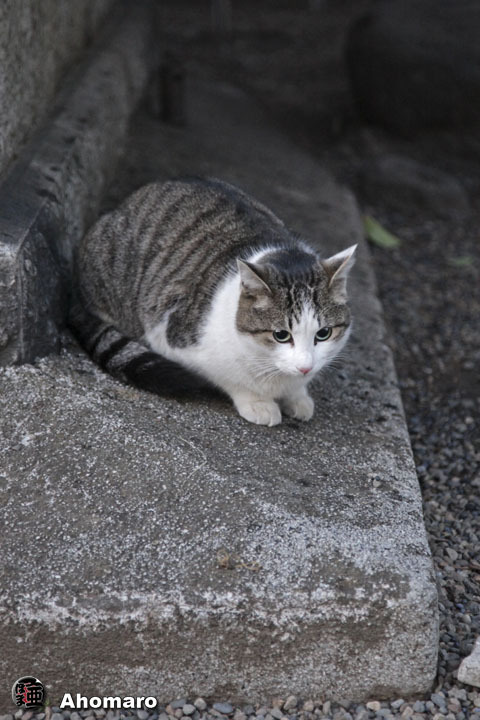 写真00