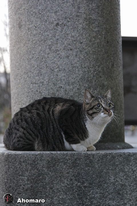 写真00