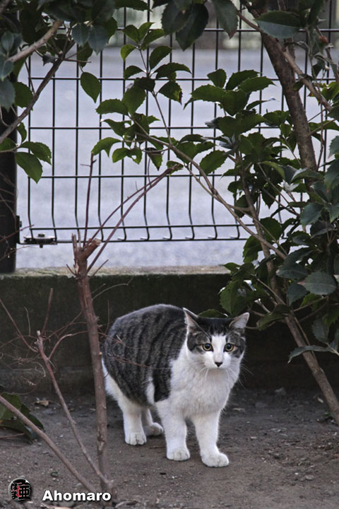 写真00