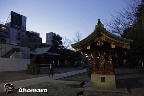 写真00