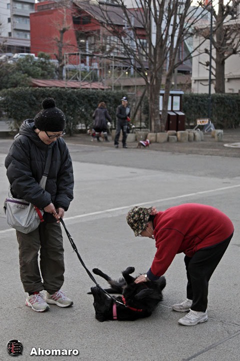 写真00