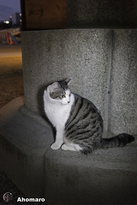 写真00