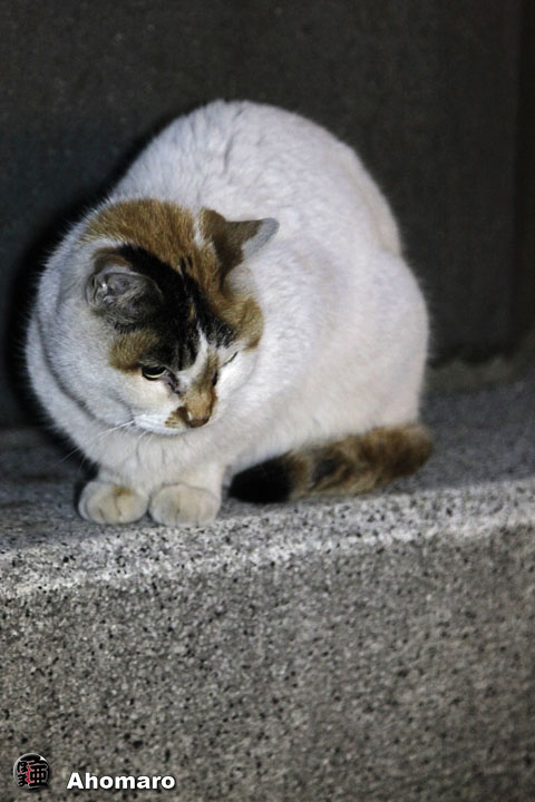 写真00