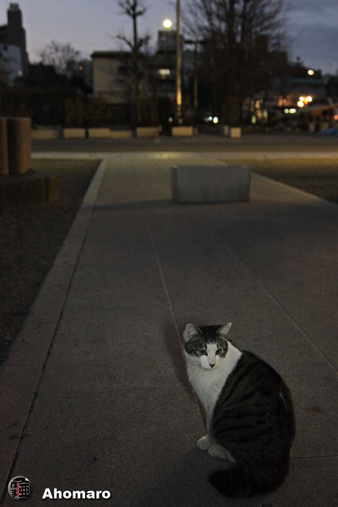 写真00