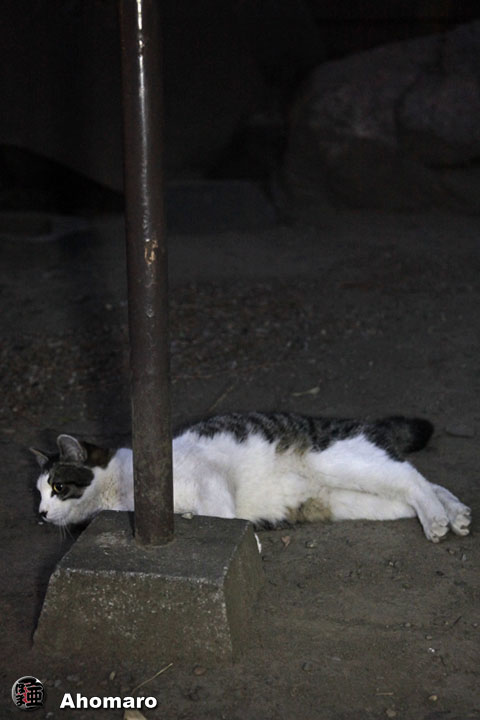 写真00