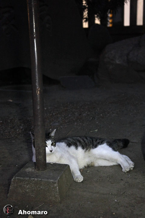 写真00