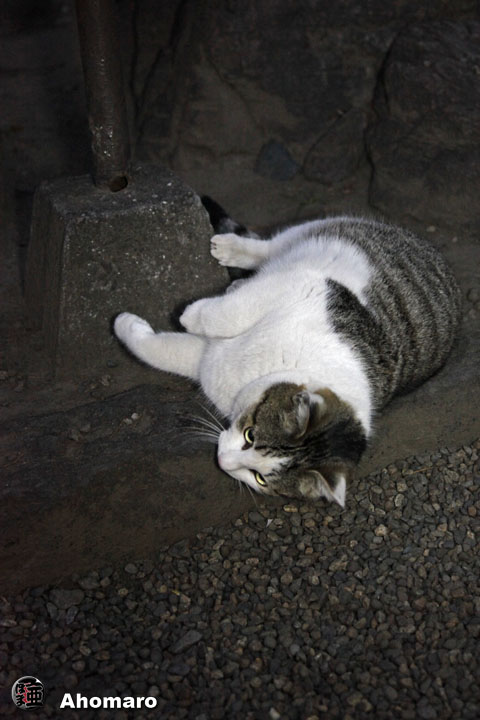 写真00