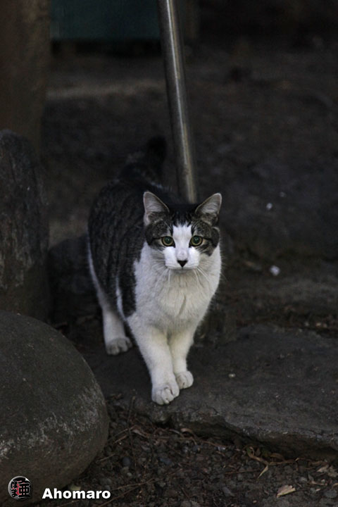写真00