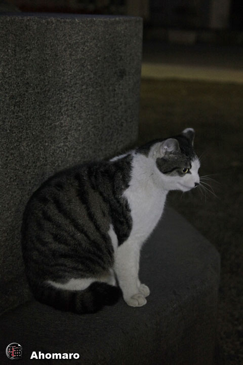 ʐ^00