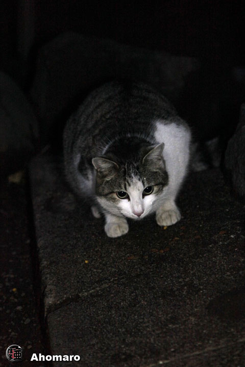 写真00