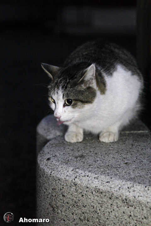 写真00
