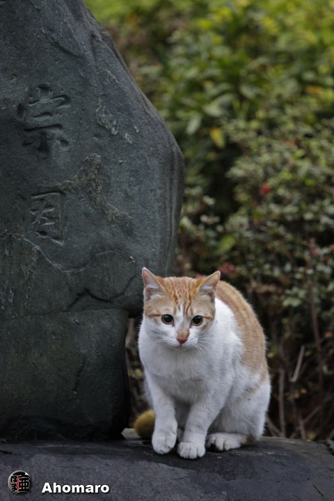 写真00