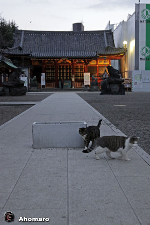 写真00