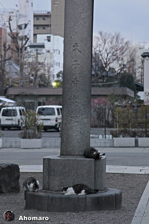 写真00