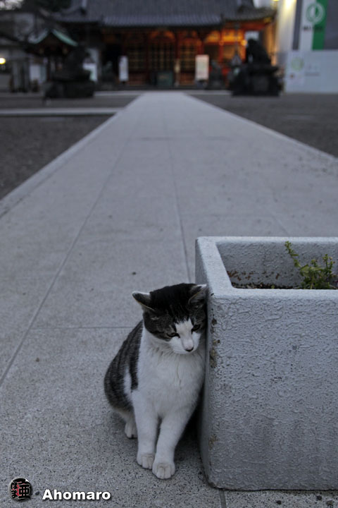 写真00