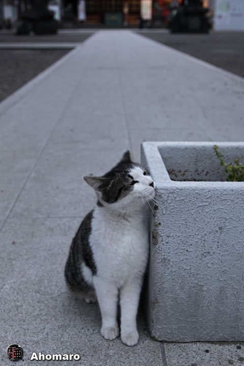 写真00
