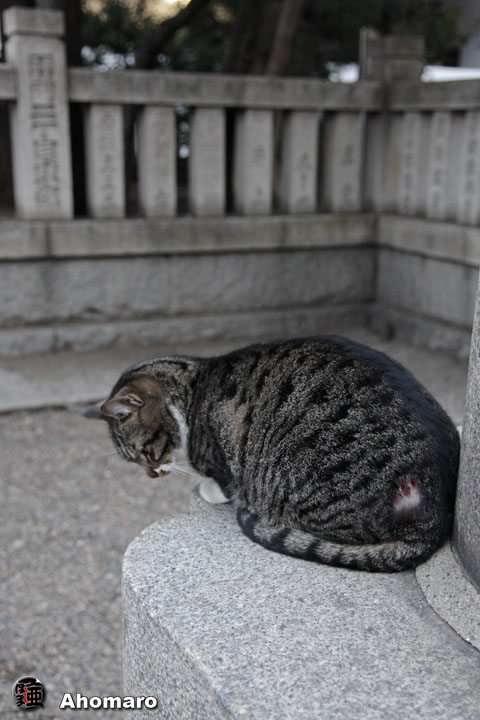写真00