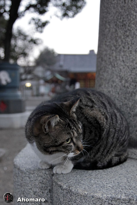 写真00