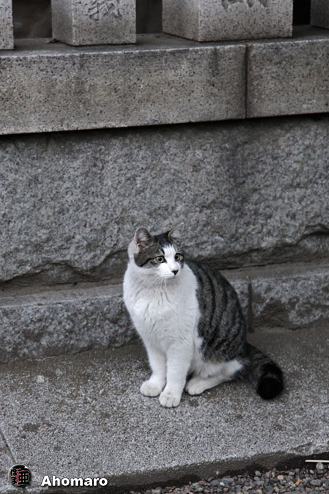 写真00