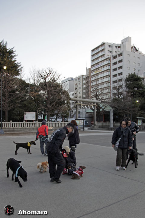 写真00