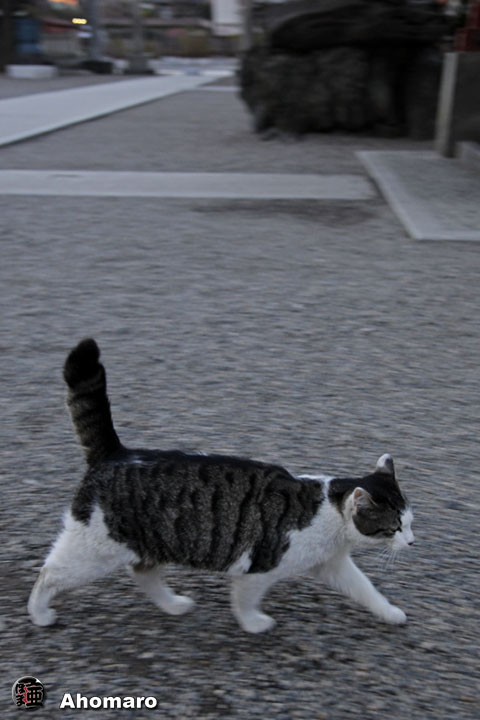 ʐ^00