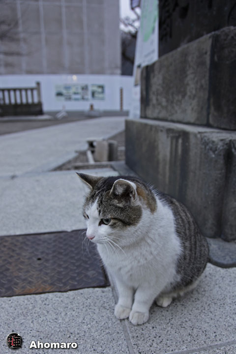 写真00