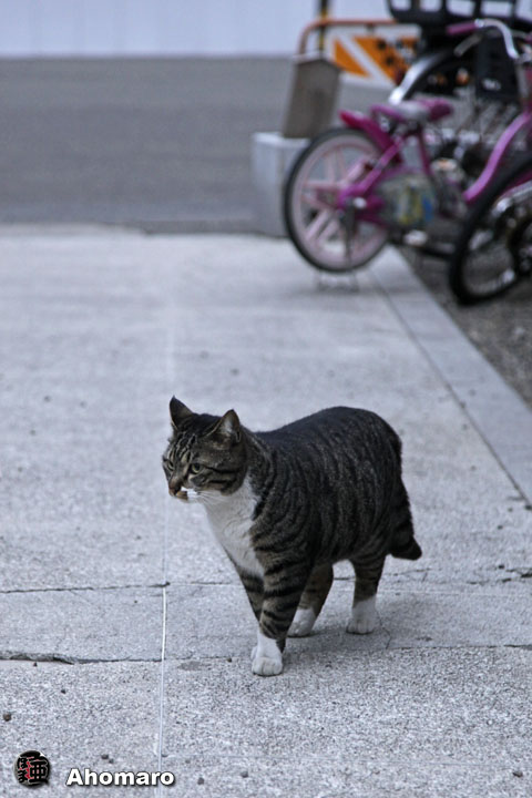 写真00