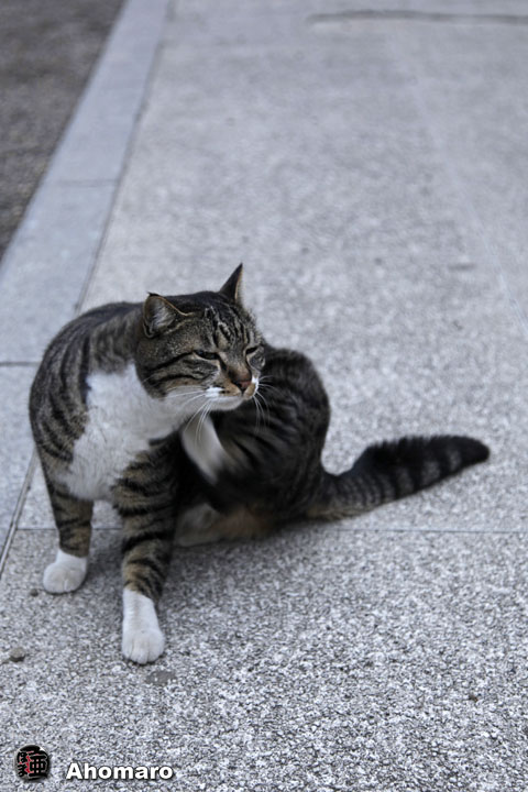 写真00