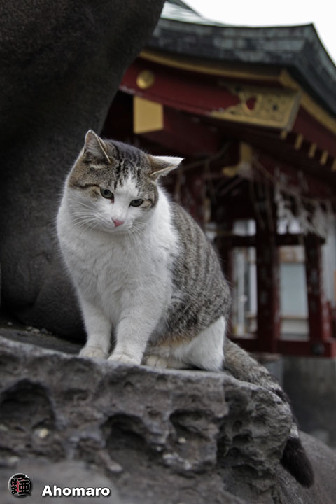 写真00