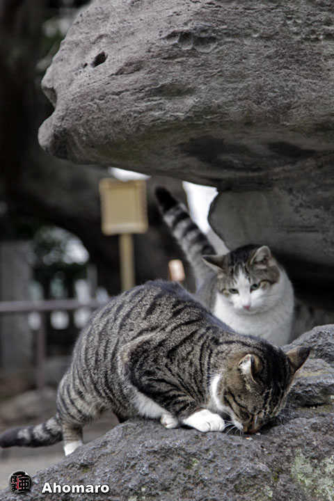 写真00